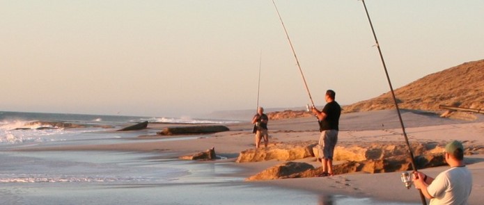 Expressions of interest are open for Round 12 of the Recreational Fishing Initiatives Fund project grants!