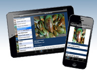 Mobile devices displaying the WA Pestwatch app