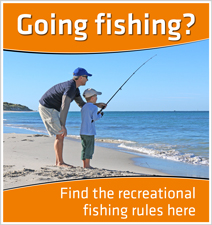Find recreational rules here