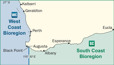 illustration map of west coast and south coast bioregion
