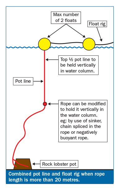 Changes to recreational rock lobster fishing rules