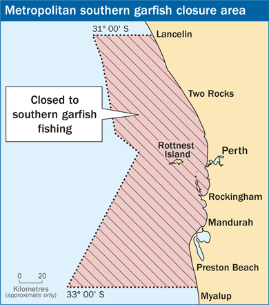 Southern garfish closure