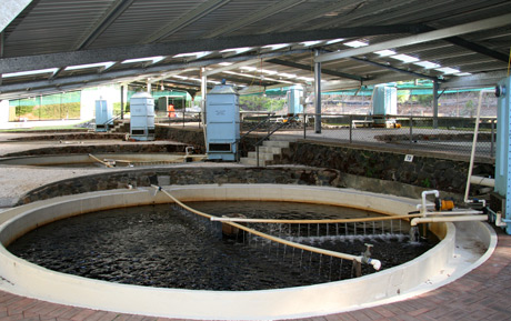 Trout hatchery ponds at the Pemberton Freshwater Research Centre